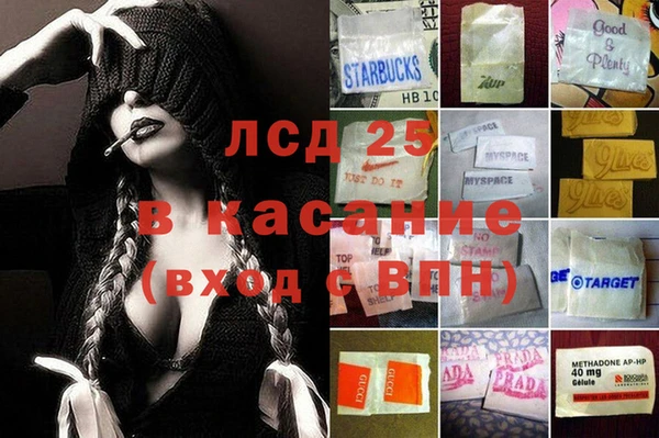 прущие грибы Аркадак