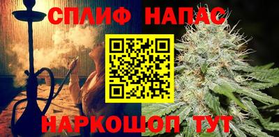 СК Гусев