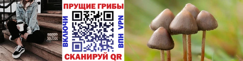 МЕГА как войти  где продают наркотики  Балахна  Галлюциногенные грибы прущие грибы 