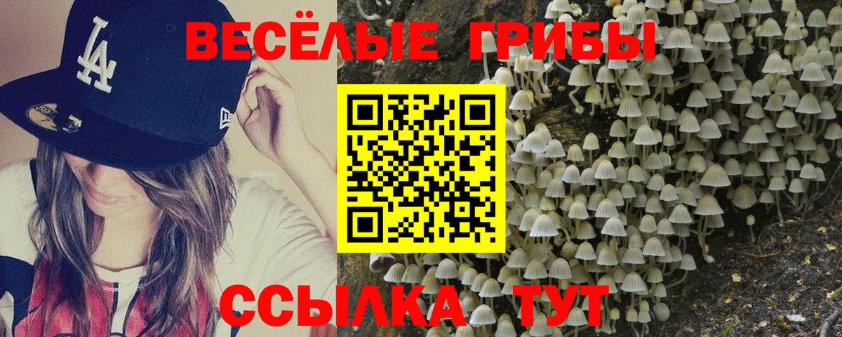 Псилоцибиновые грибы Psilocybe Балахна